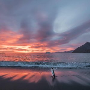 Dawn