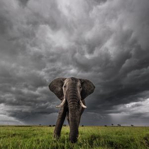 The Gathering Storm